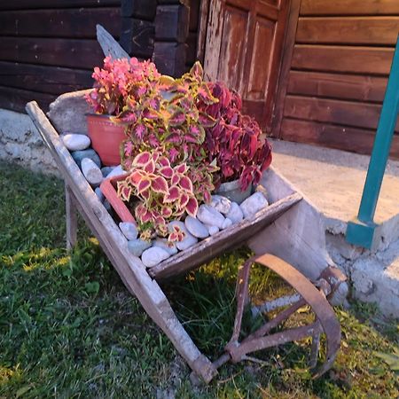 Bungalovi Vukovic Mojkovac Esterno foto