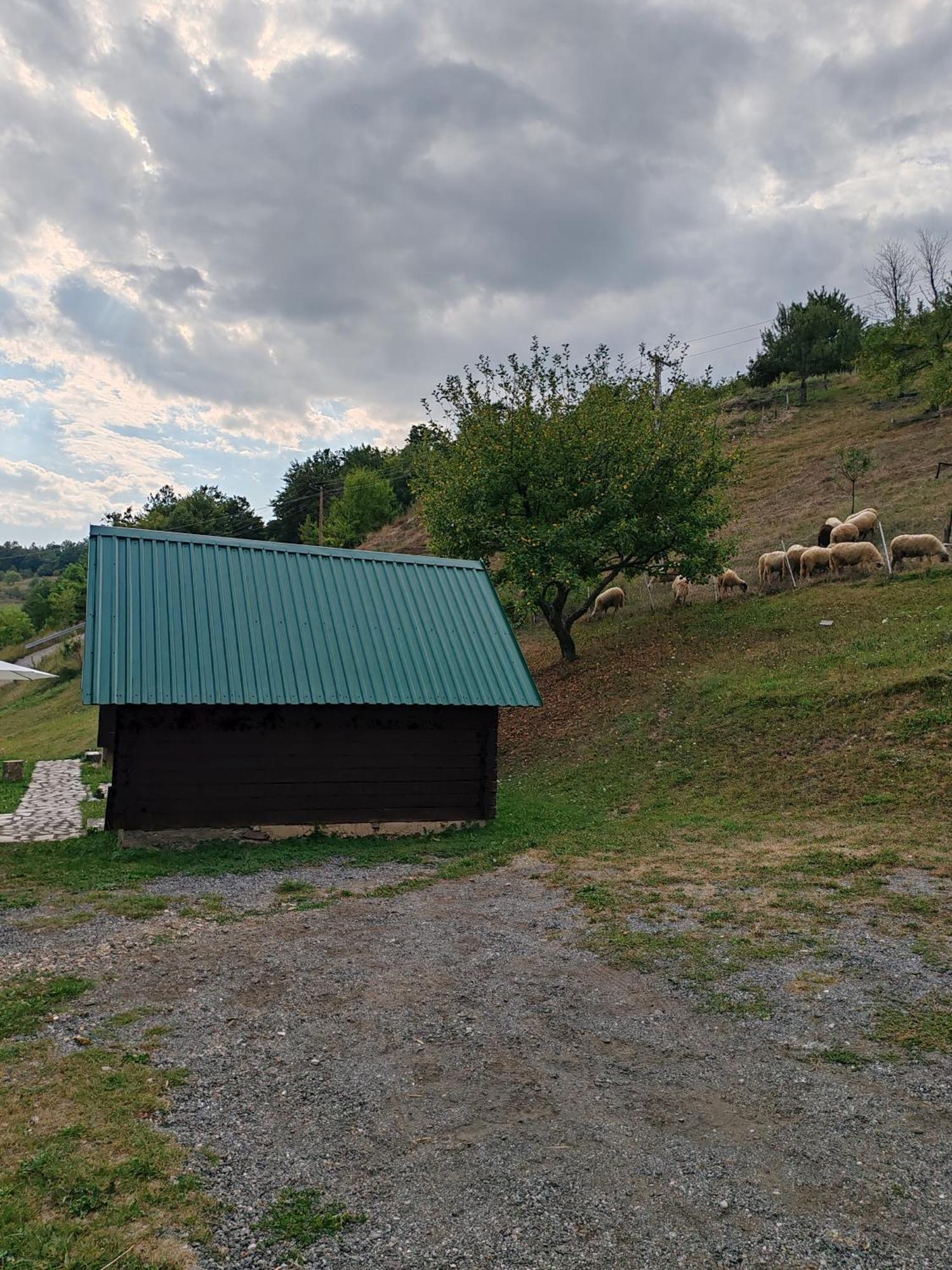 Bungalovi Vukovic Mojkovac Esterno foto